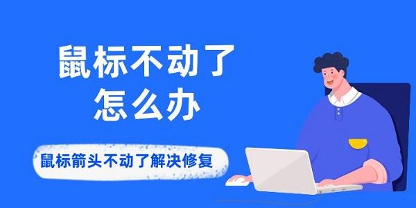 鼠标不动了怎么办 鼠标箭头不动了解决修复方法