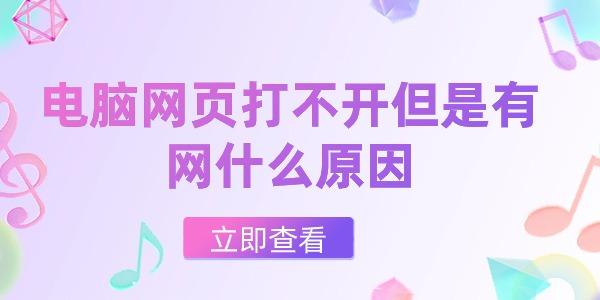 电脑网页打不开但是有网什么原因