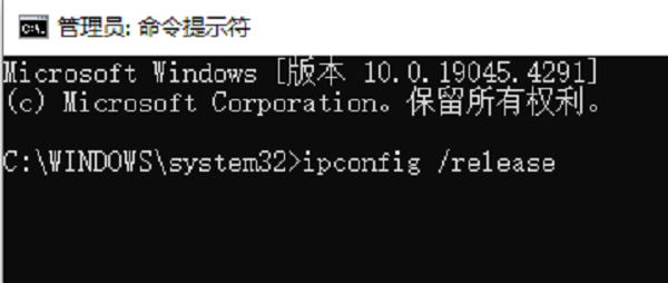 重置DHCP租约