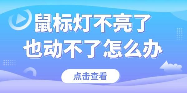 鼠标灯不亮了也动不了怎么办