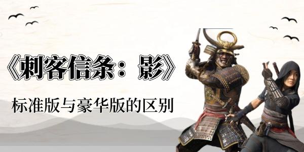 刺客信条影多少钱
