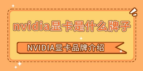 nvidia显卡是什么牌子