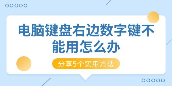 电脑键盘右边数字键不能用怎么办