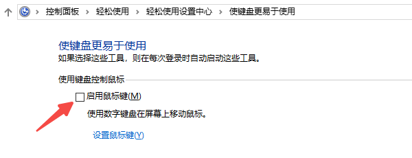 检查系统设置是否禁用了小键盘