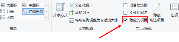 隐藏的项目