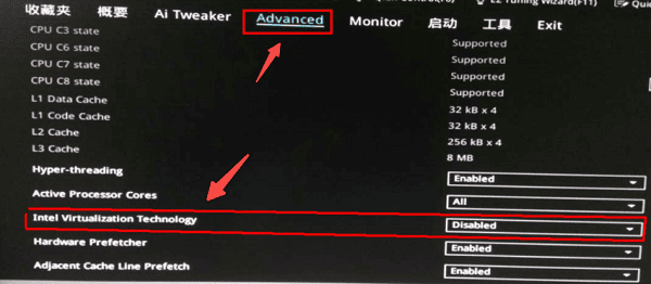 查找虚拟化选项