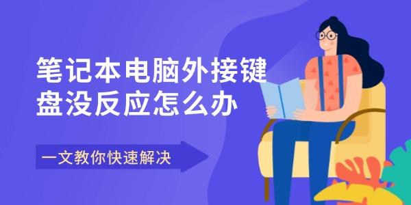 笔记本电脑外接键盘没反应怎么办 一文教你快速解决