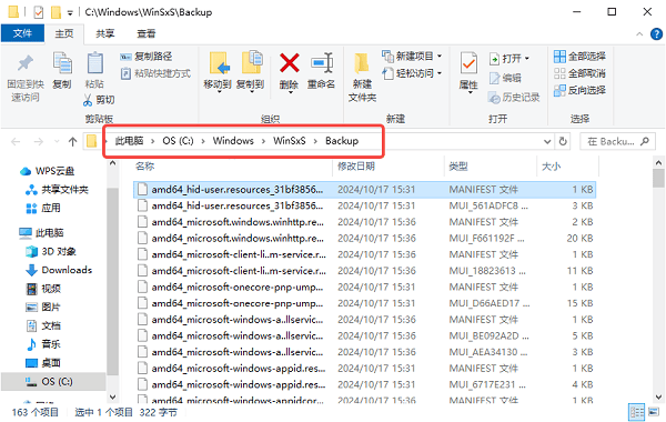 Backup文件夹是什么