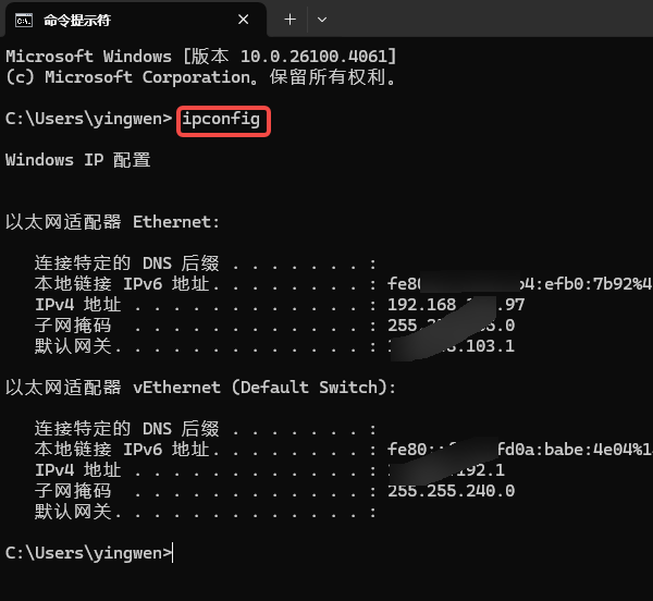 检查虚拟机内部网络设置