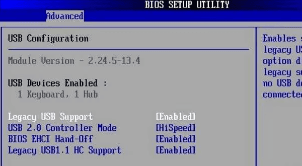 检查BIOS中的PS/2/键盘支持设置