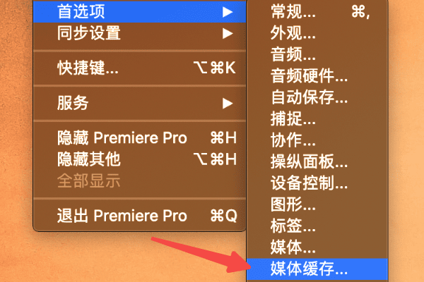 清理PR自身的媒体缓存 清理PR自身的媒体缓存