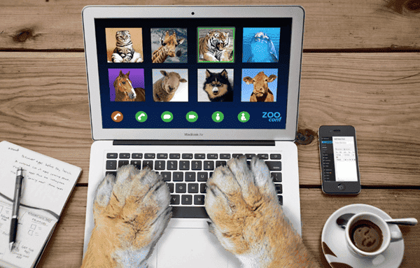 联想摄像头为什么会缺失或无法使用