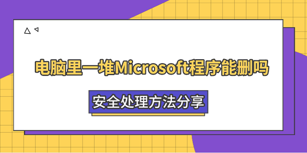 电脑里一堆Microsoft程序能删吗?安全处理方法分享 电脑里一堆Microsoft程序能删吗?安全处理方法分享