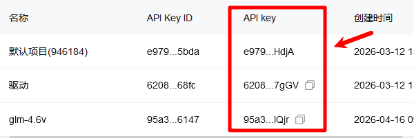 API Key填写错误