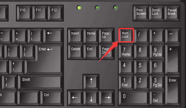 认准“Num Lock”键 认准“Num Lock”键