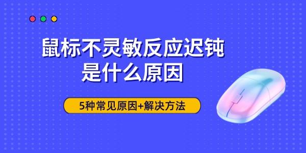 鼠标不灵敏反应迟钝是什么原因