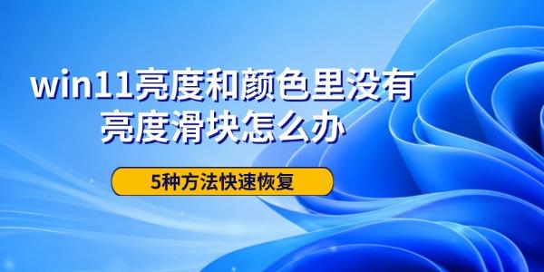 win11亮度和颜色里没有亮度滑块怎么办 5种方法快速恢复