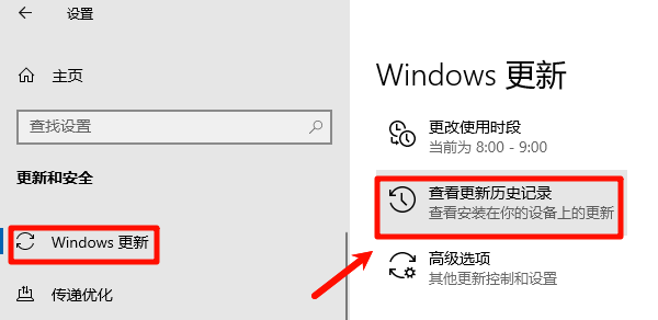 查看更新历史记录
