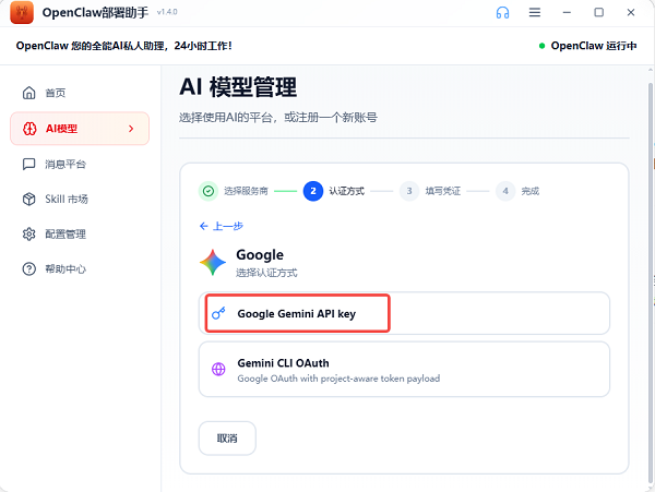 选择Google Gemini API key 选择Google Gemini API key