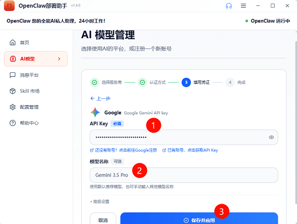 输入Gemini API Key 输入Gemini API Key