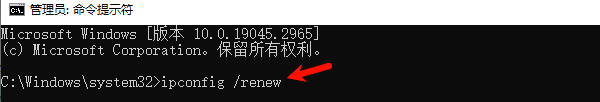 重置TCP/IP和DNS缓存
