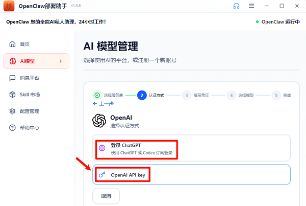 选择OpenAl API key