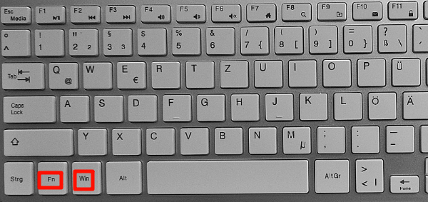 Fn+Windows键