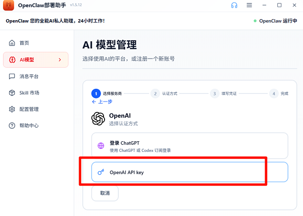 选择OpenAI API key 选择OpenAI API key