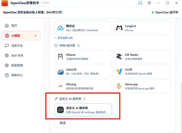 自定义AI服务商 自定义AI服务商