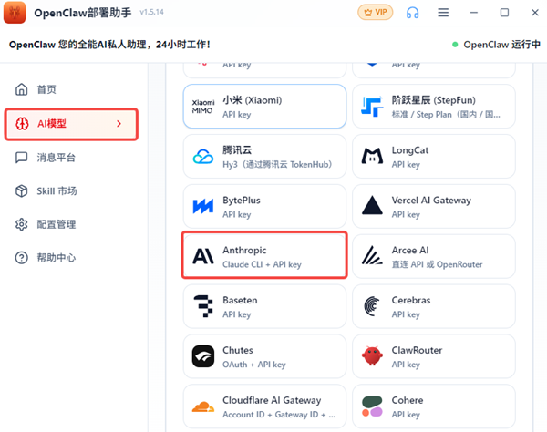 自备API Key 自备API Key