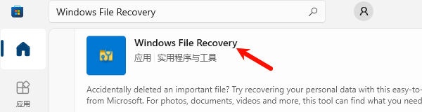 使用Windows File Recovery恢复