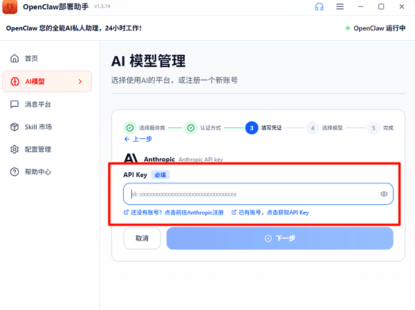 填写 API Key 填写 API Key