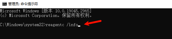 输入:reagentc /info 输入:reagentc /info
