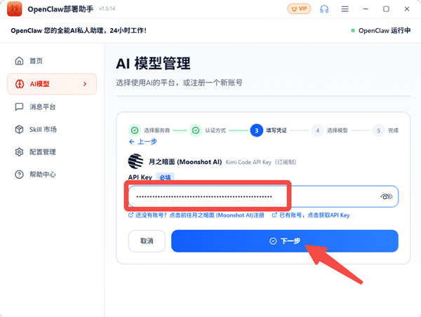 输入API Key 输入API Key