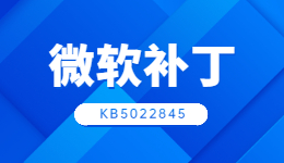Win11推送补丁更新KB5022845，修复与系统更新看这里