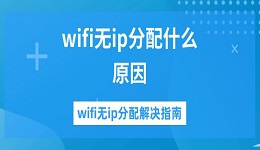 wifi无ip分配什么原因 wifi无ip分配解决指南