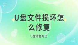 U盘文件损坏怎么修复 U盘修复方法