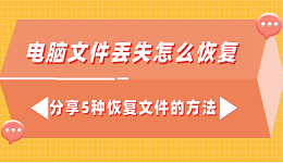 电脑文件丢失怎么恢复 分享5种恢复文件的方法