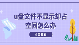 u盘文件不显示却占空间怎么办？多种方式解决