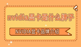 nvidia显卡是什么牌子 nvidia显卡品牌介绍