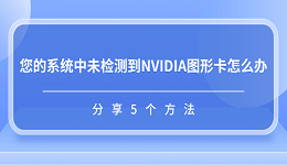 您的系统中未检测到NVIDIA图形卡怎么办 分享5个方法