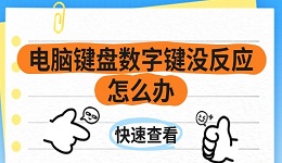 电脑键盘数字键没反应怎么办 一文带你解决