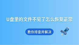 U盘里的文件不见了怎么恢复正常 教你排查并解决