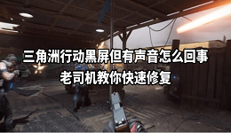 三角洲行动黑屏但有声音怎么回事 老司机教你快速修复