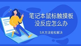 笔记本鼠标触摸板没反应怎么办 5大方法轻松解决