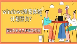 windows预览体验计划空白?原因分析与五种解决方法