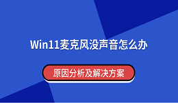 Win11麦克风没声音怎么办 原因分析及解决方案