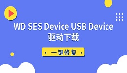 WD SES Device USB Device驱动下载 一键修复移动硬盘驱动问题
