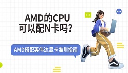 AMD的CPU可以配N卡吗？AMD搭配英伟达显卡准则指南