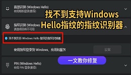 找不到支持Windows Hello指纹的指纹识别器怎么办 一文教你修复